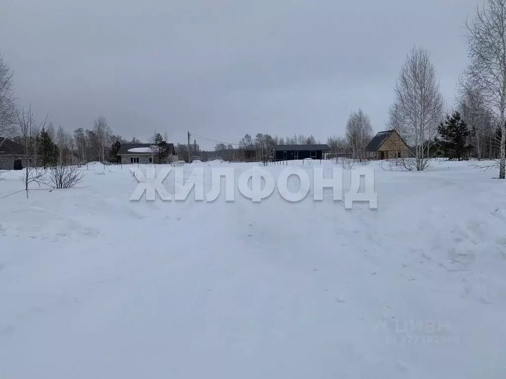 Участок в Новосибирская область, Новосибирский район, с. Верх-Тула, ... - Фото 1