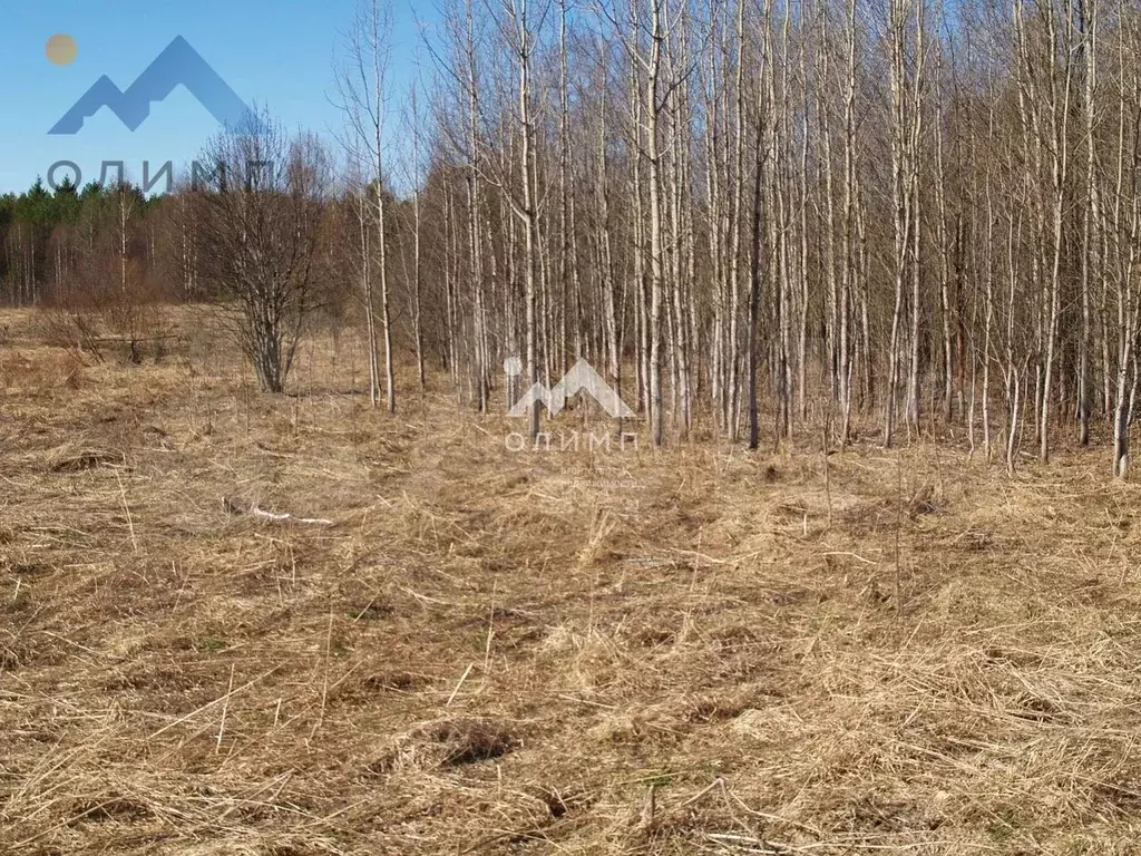 Участок 50 сот. (ИЖС) - Фото 1