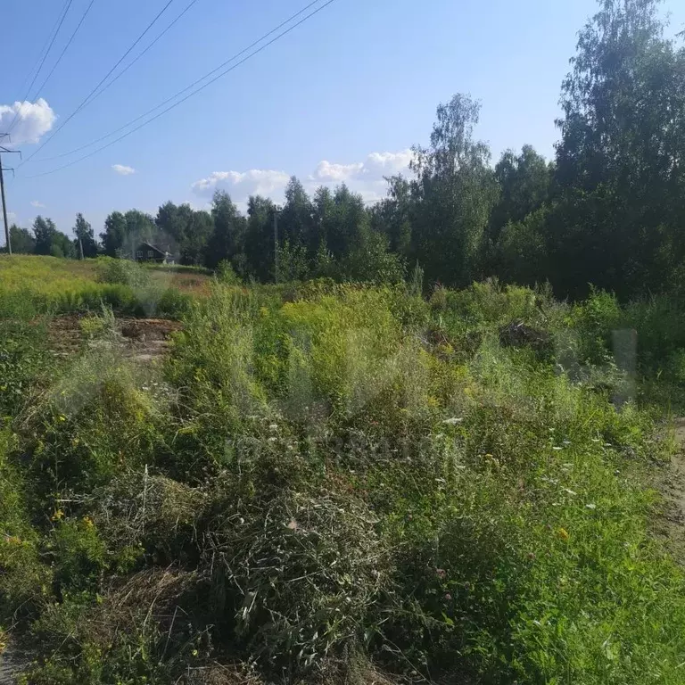 Купить Участок Кстовский Район Нижегородской
