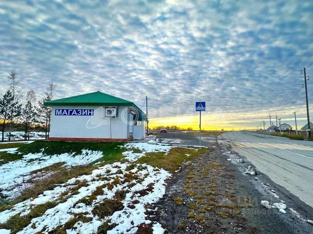 Помещение свободного назначения в Тюменская область, Тюменский район, ... - Фото 0