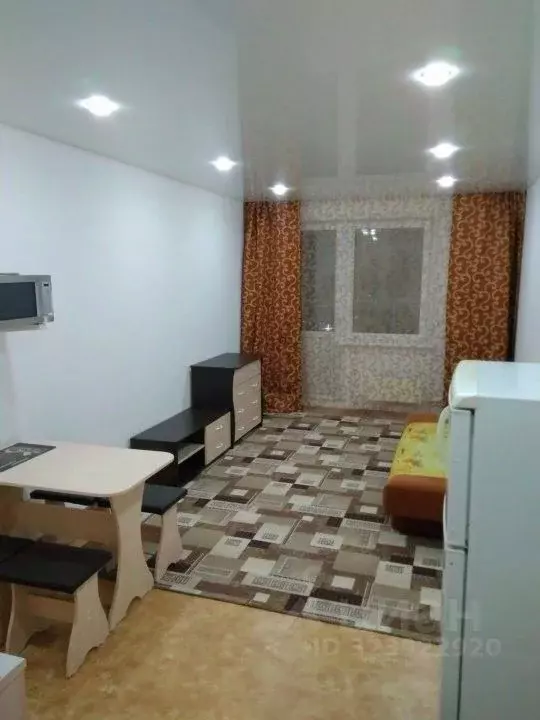 Студия Красноярский край, Красноярск ул. Карамзина, 8 (27.0 м) - Фото 2