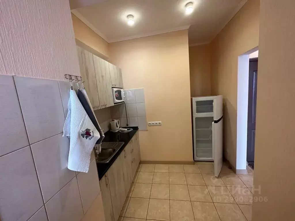 1-к кв. Крым, Ялта муниципальный округ, Отрадное пгт ул. Отрадная, ... - Фото 1