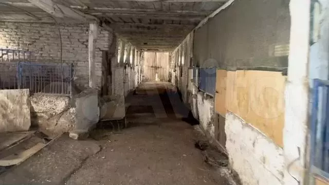 Ферма для крс на участке 2 га - Фото 1