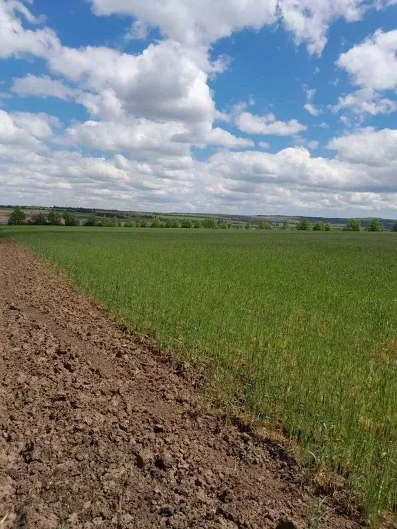 Участок в Крым, Симферопольский район, с. Трудовое ул. Зеленая (4.0 ... - Фото 1