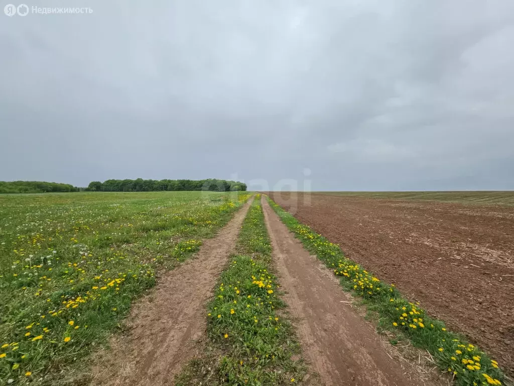 Участок в Тукаевский район, село Биклянь (1240.06 м) - Фото 1