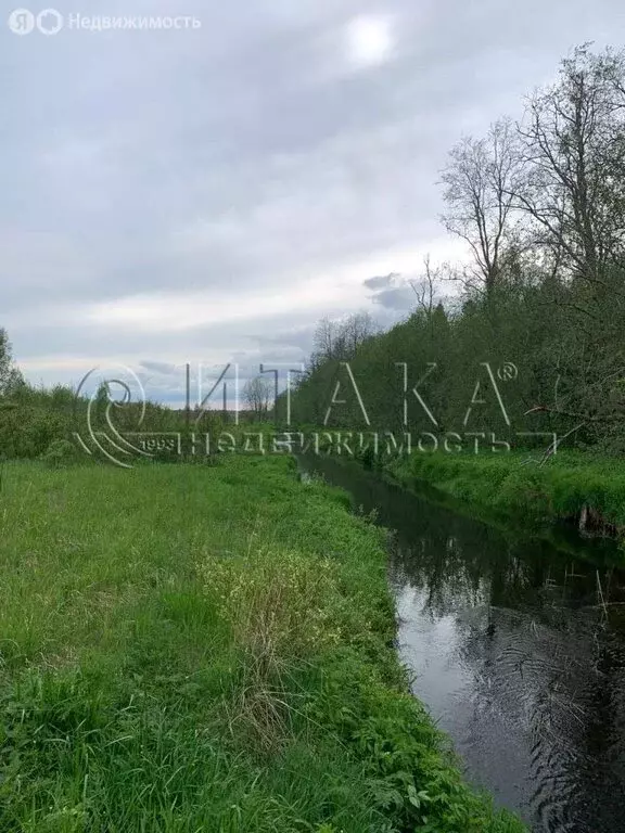 Участок в Кисельнинское сельское поселение, деревня Пески (500 м) - Фото 1