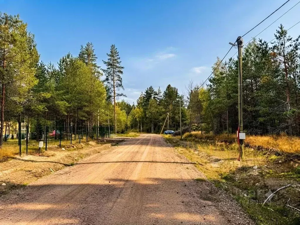 Участок в Ленинградская область, Выборгский район, Полянское с/пос, ... - Фото 2