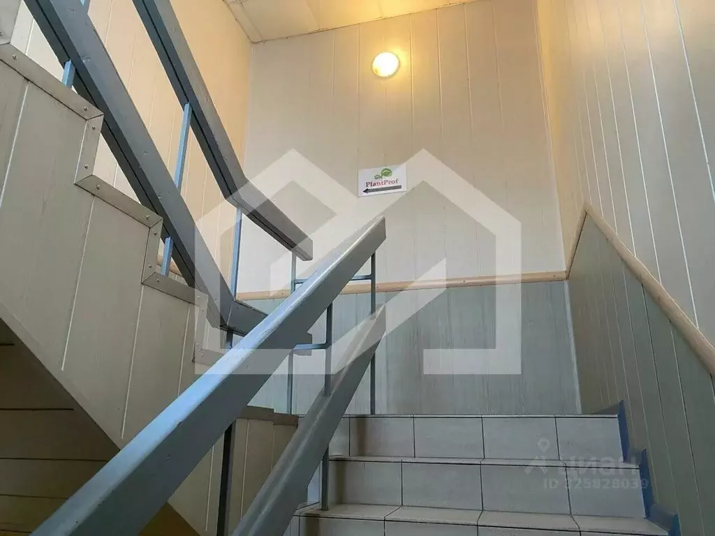 Склад в Московская область, Пушкино Учинская ул., 20А (2928 м) - Фото 2