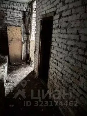 Помещение свободного назначения в Иркутская область, Иркутский ... - Фото 1