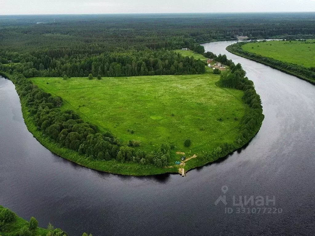 Участок в Ленинградская область, Волховский район, Пашское с/пос, д. ... - Фото 2