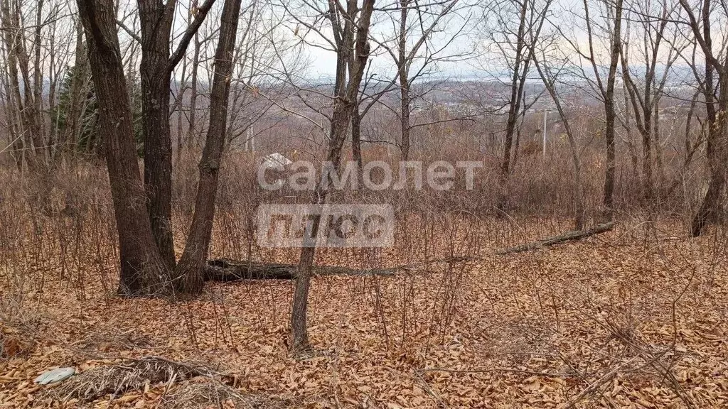 Участок в Приморский край, Артем  (10.0 сот.) - Фото 1
