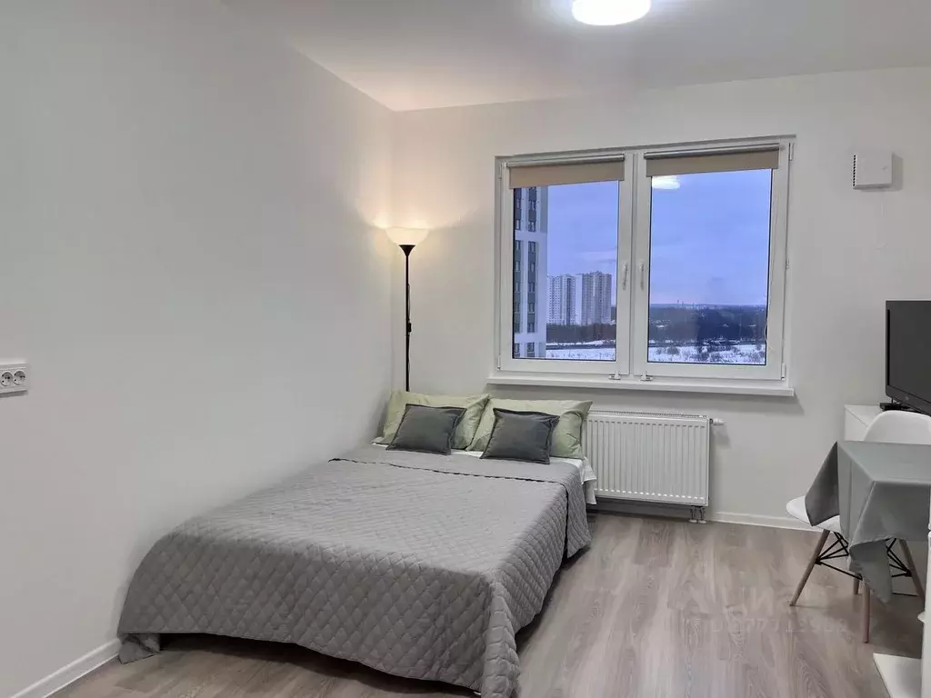 Студия Санкт-Петербург ул. Пахомовская, 12к2 (20.7 м) - Фото 2