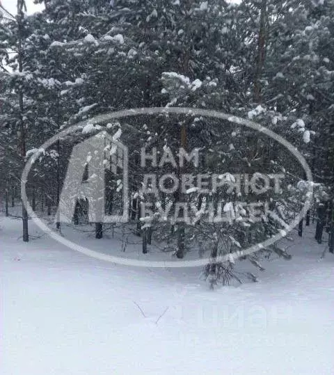 Участок в Пермский край, Чайковский городской округ, д. Марково ул. ... - Фото 2