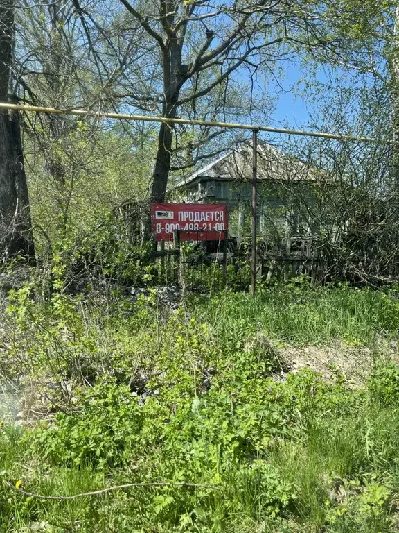 Участок в Тамбовская область, Тамбовский муниципальный округ, с. ... - Фото 1