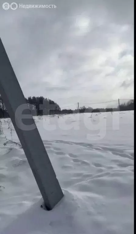 Участок в Лямбирский район, Берсеневское сельское поселение, село ... - Фото 2