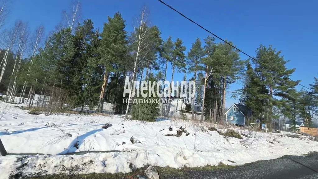 Участок в Ленинградская область, Всеволожск ул. Рубцова (6.0 сот.) - Фото 1