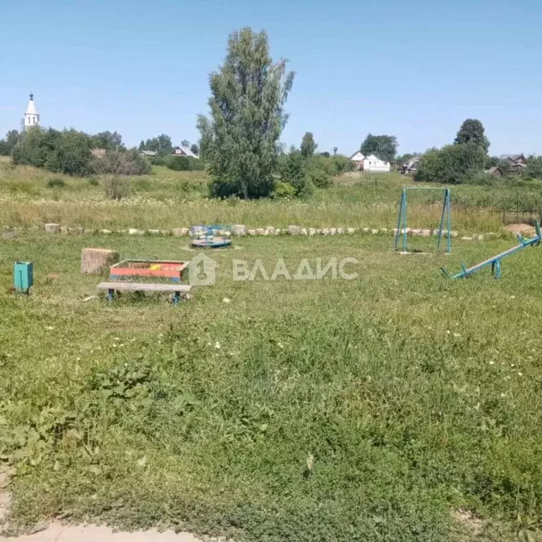 Участок в Владимирская область, Суздальский район, Селецкое ... - Фото 1