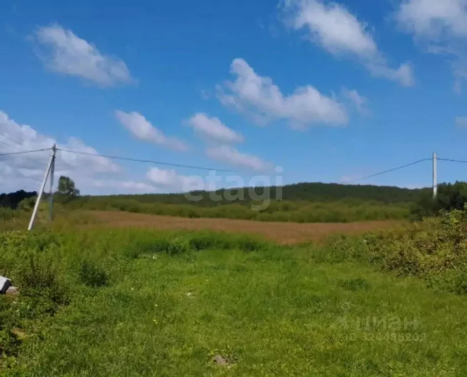 Участок в Калининградская область, Полесский муниципальный округ, пос. ... - Фото 1