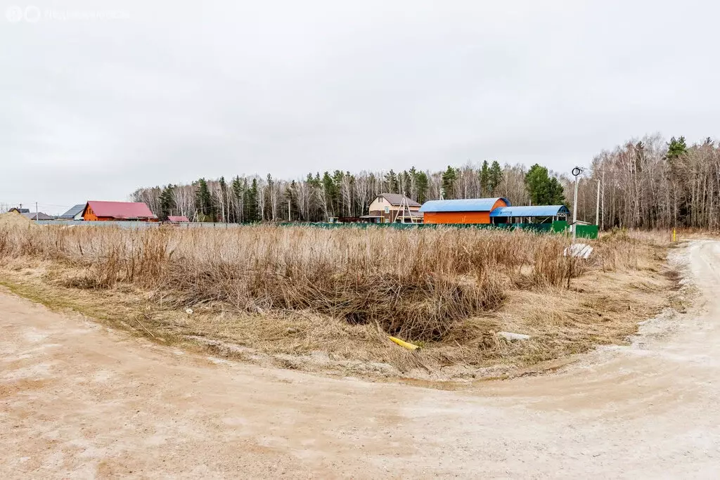 Участок в Тюменский муниципальный округ, деревня Ушакова, Праздничная ... - Фото 2