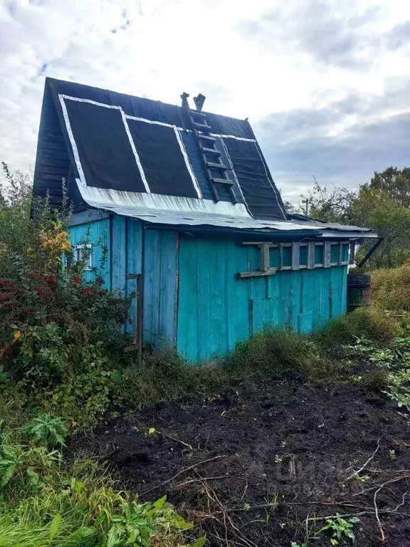 Участок в Новгородская область, Новгородский район, Борковское с/пос, ... - Фото 1