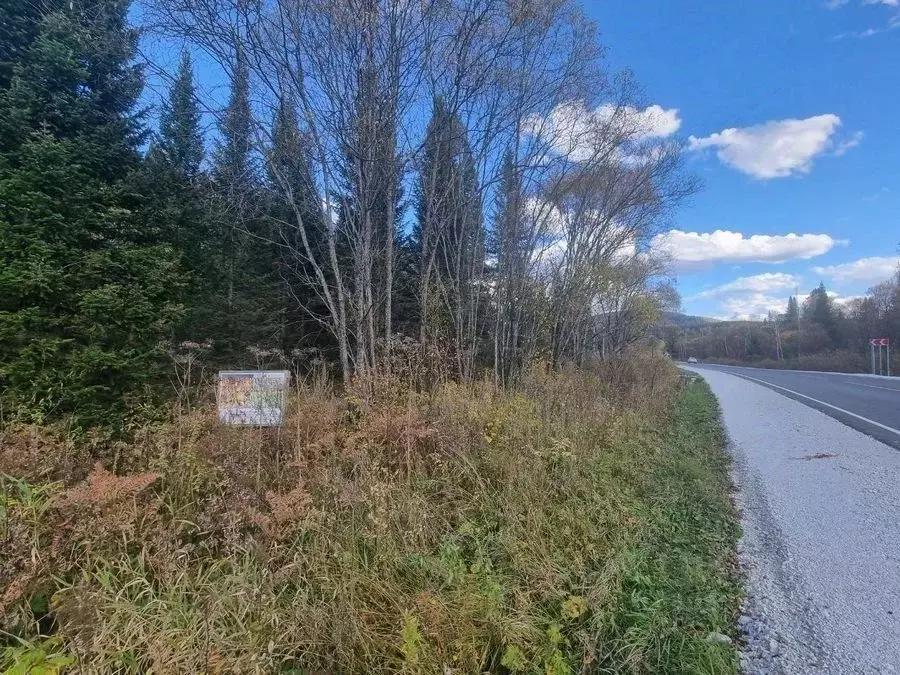 Участок в Кемеровская область, Таштагольский район, Каларское с/пос, ... - Фото 2