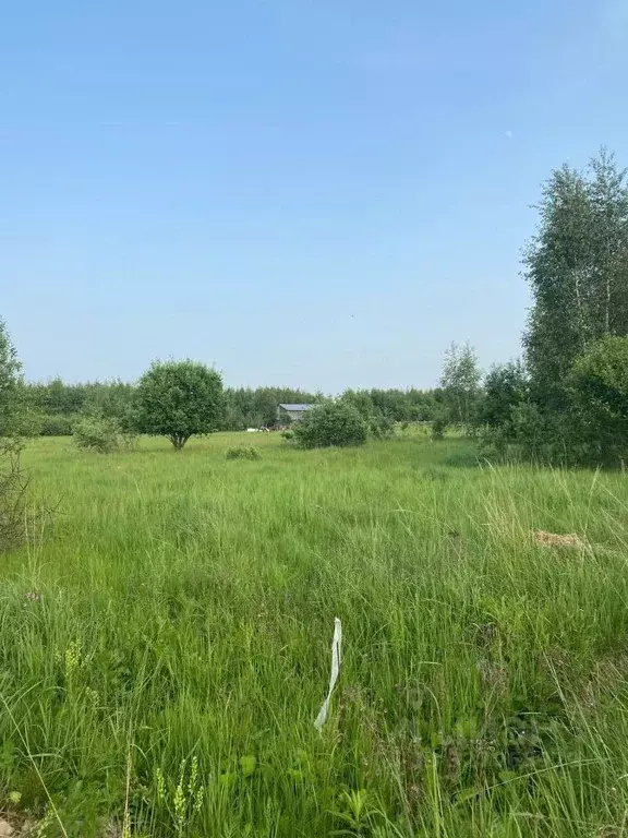 Участок в Московская область, Раменский муниципальный округ, с. ... - Фото 2