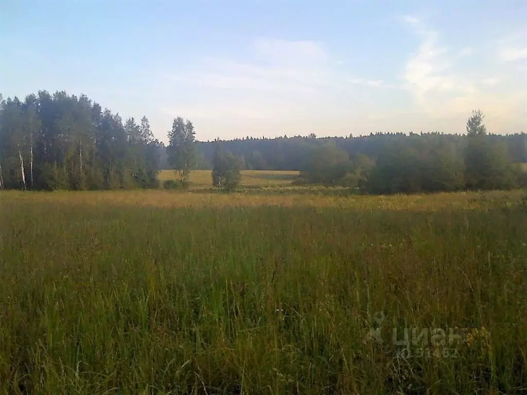 Хоругвино Солнечногорский Район Купить