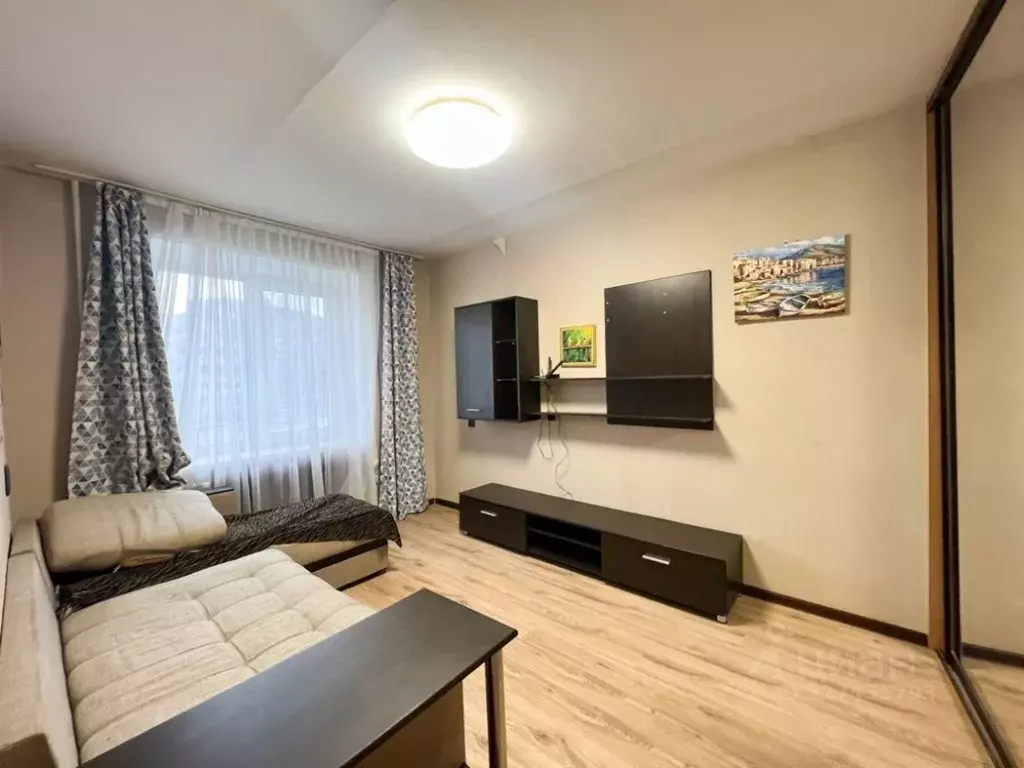 1-к кв. Псковская область, Псков Юбилейная ул., 77Б (24.0 м) - Фото 2