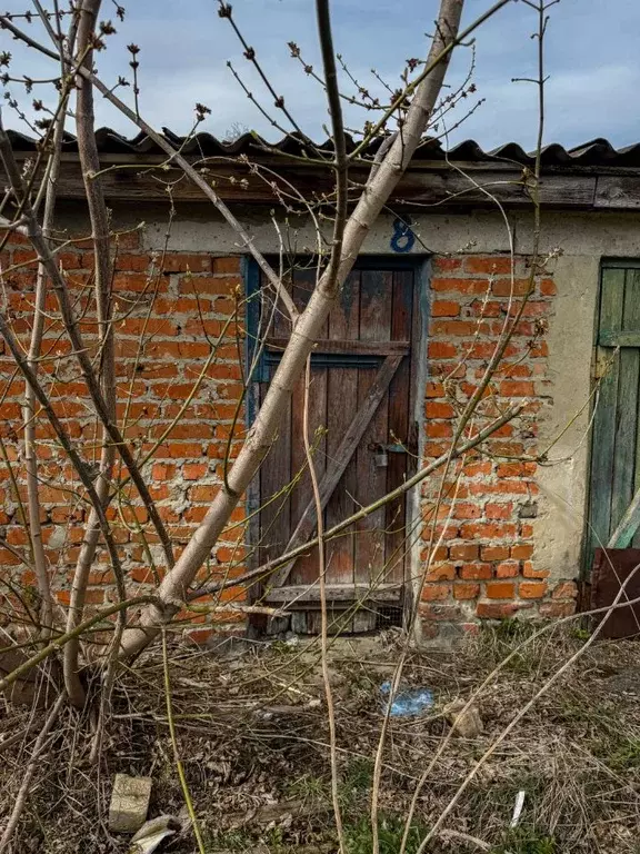 Помещение свободного назначения в Орловская область, Кромы пгт ул. К. ... - Фото 1