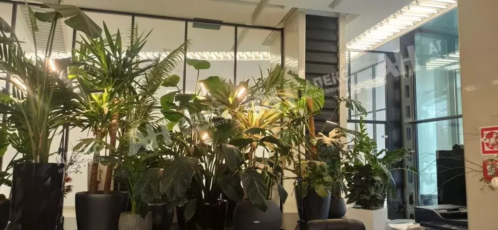 Помещение свободного назначения в Москва Варшавское ш., 25АС6 (100 м) - Фото 1