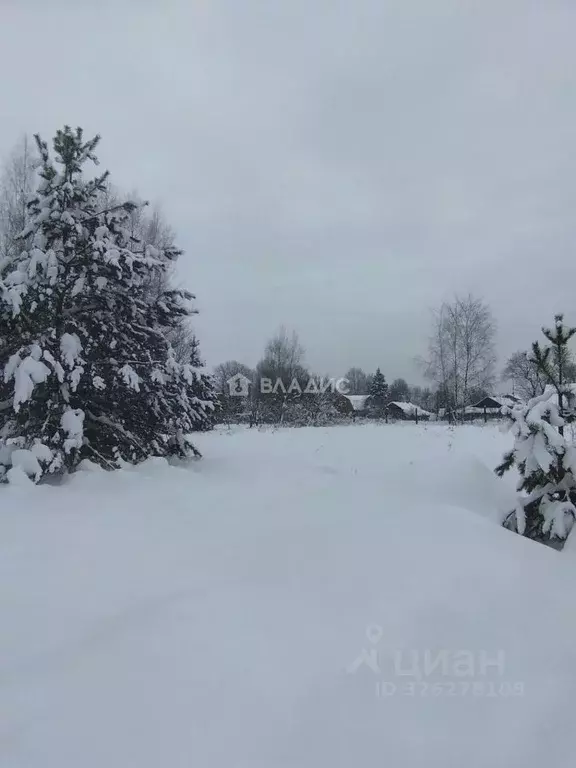 Участок в Московская область, Павлово-Посадский городской округ, д. ... - Фото 1