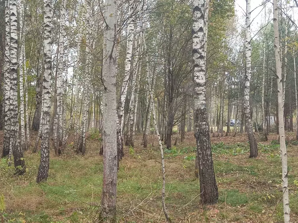 Купить Участок В Фрязино Московской Области