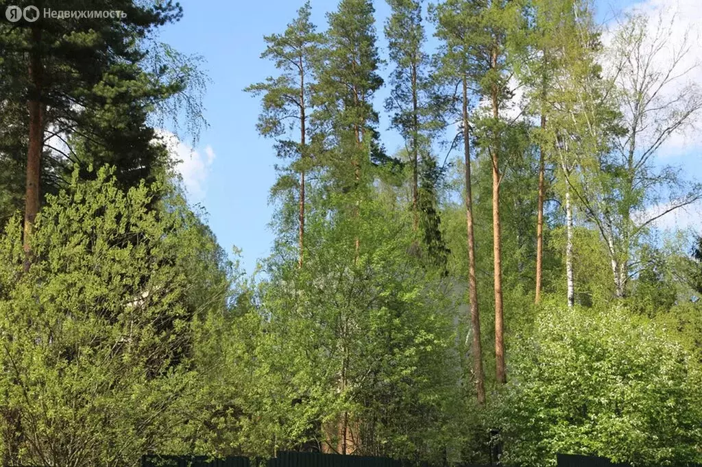 Участок в Николина Гора, КП Сосновый бор, Вишнёвая улица (20 м) - Фото 2