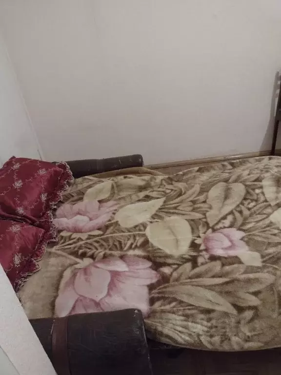 1-к кв. Волгоградская область, Волгоград Семь Ветров мкр, ул. ... - Фото 1