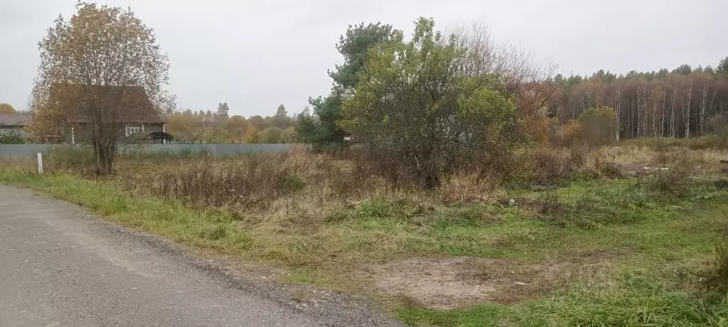 Участок в Московская область, Талдомский городской округ, с. ... - Фото 2