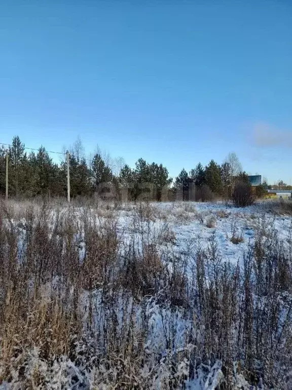 Участок в Вологодская область, с. Кичменгский Городок ул. Районная, 76 ... - Фото 0