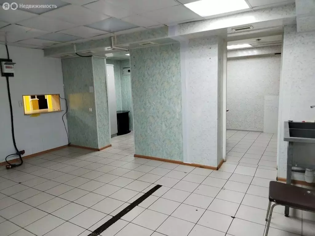 Помещение свободного назначения (74.5 м) - Фото 2