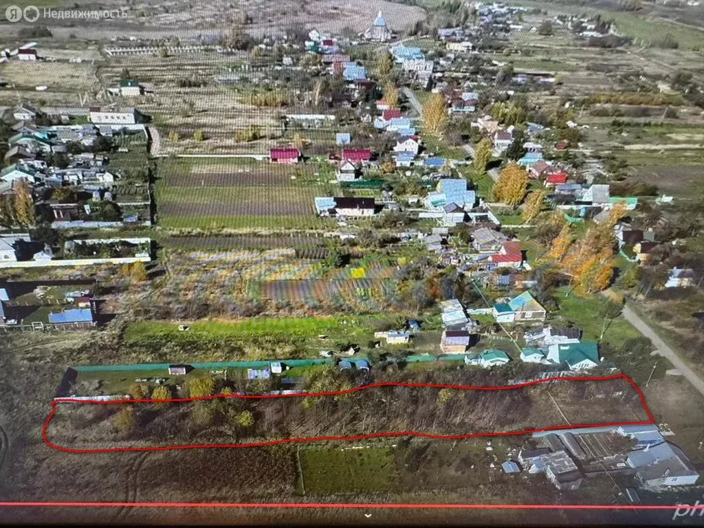 Участок в Владимирская область, Суздальский муниципальный округ, село ... - Фото 1