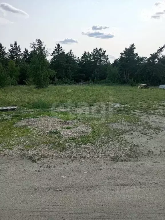 Участок в Воронежская область, Воронеж Шилово мкр,  (4.0 сот.) - Фото 2