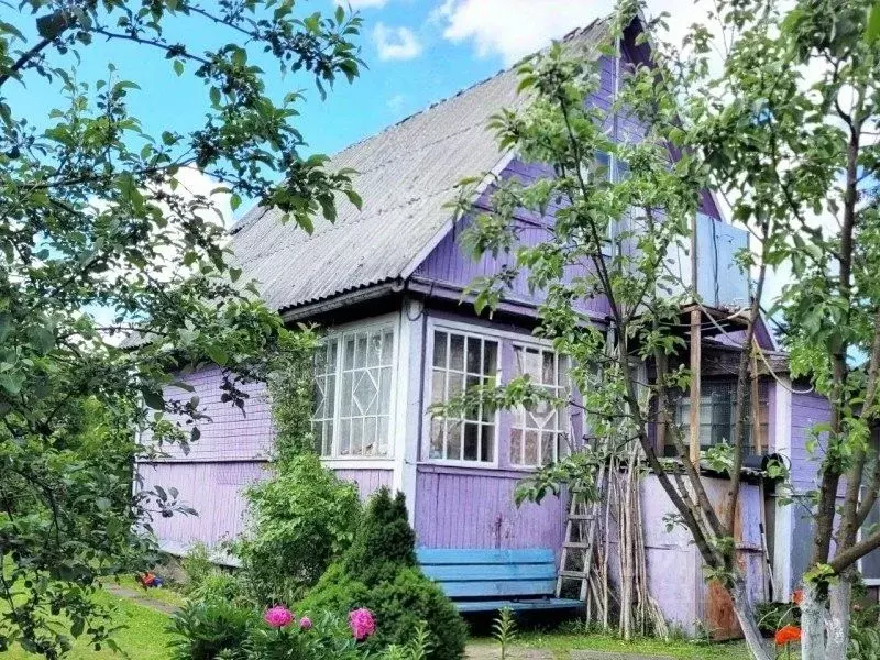 Дом в Ленинградская область, Кировское городское поселение, Грибное ... - Фото 1