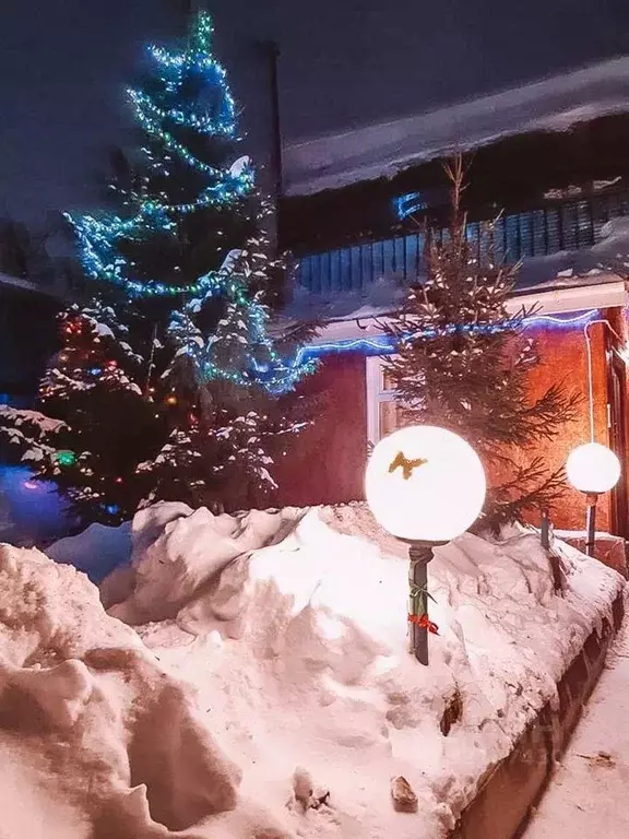 Дом в Челябинская область, Юрюзань Катав-Ивановский район, ул. ... - Фото 2