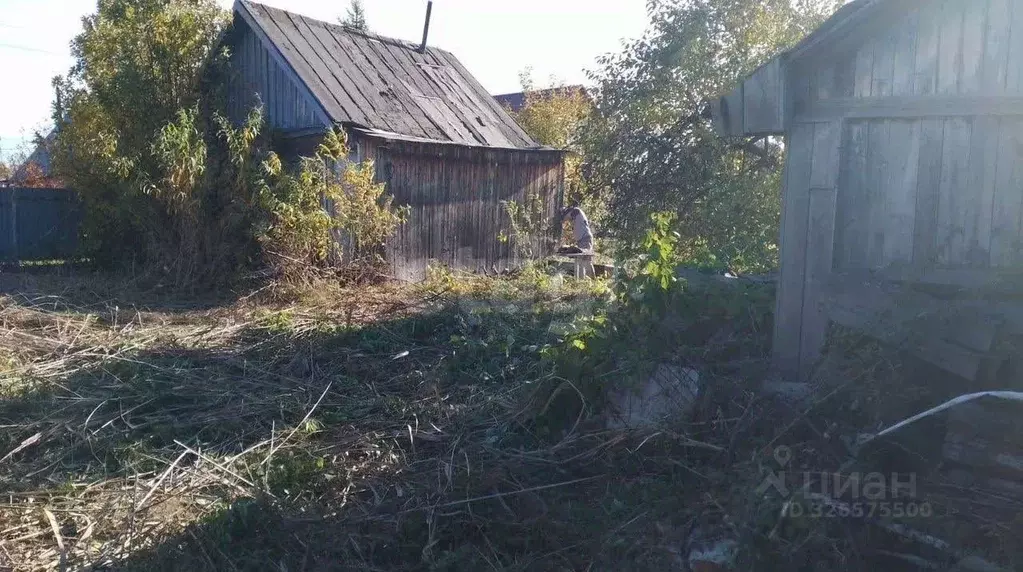 Участок в Тюменская область, Тюмень Домостроитель СНТ, ул. Гвоздика, ... - Фото 2