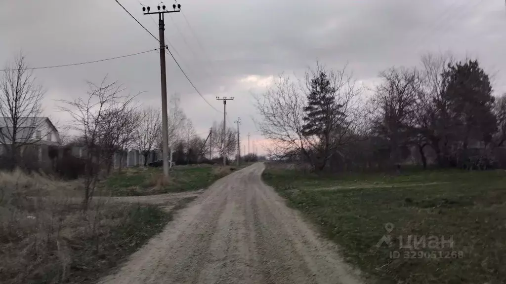 Участок в Краснодарский край, Усть-Лабинский район, Александровское ... - Фото 2