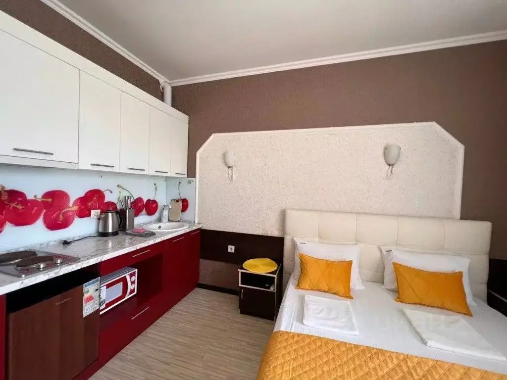 1-к кв. Краснодарский край, Сириус пгт ул. Ружейная, 39 (24.0 м) - Фото 0