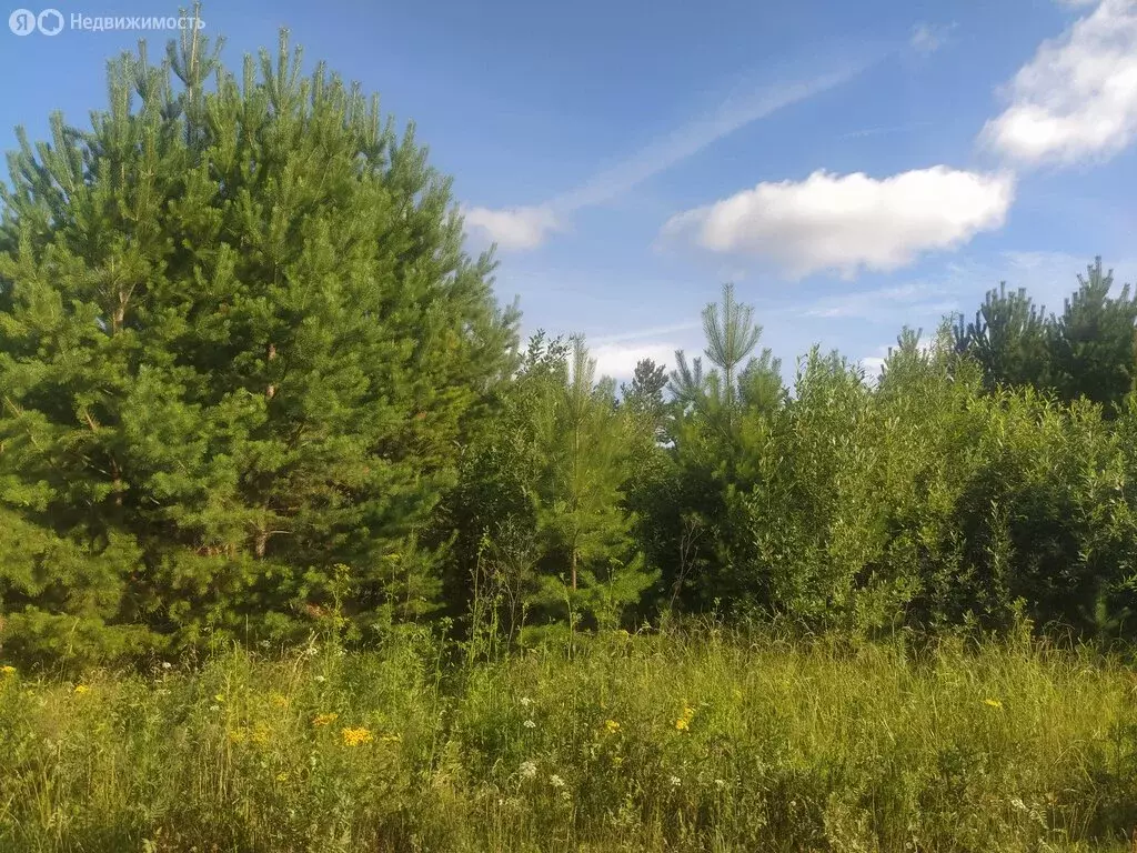 Участок в Екатеринбург, ДНП Аэродром, Ереванская улица (10 м) - Фото 0