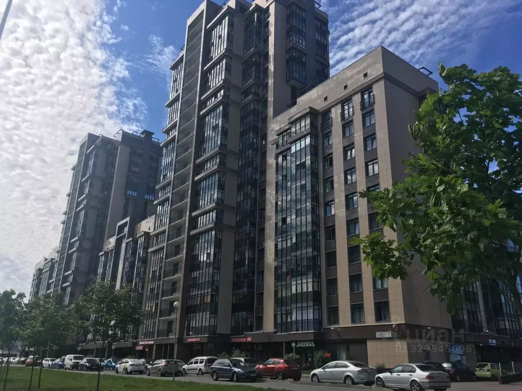 Студия Санкт-Петербург ул. Адмирала Трибуца, 7 (24.3 м) - Фото 1