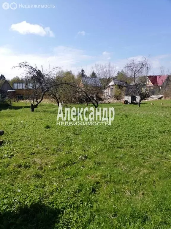 Участок в Мгинское городское поселение, садоводческий массив ... - Фото 0
