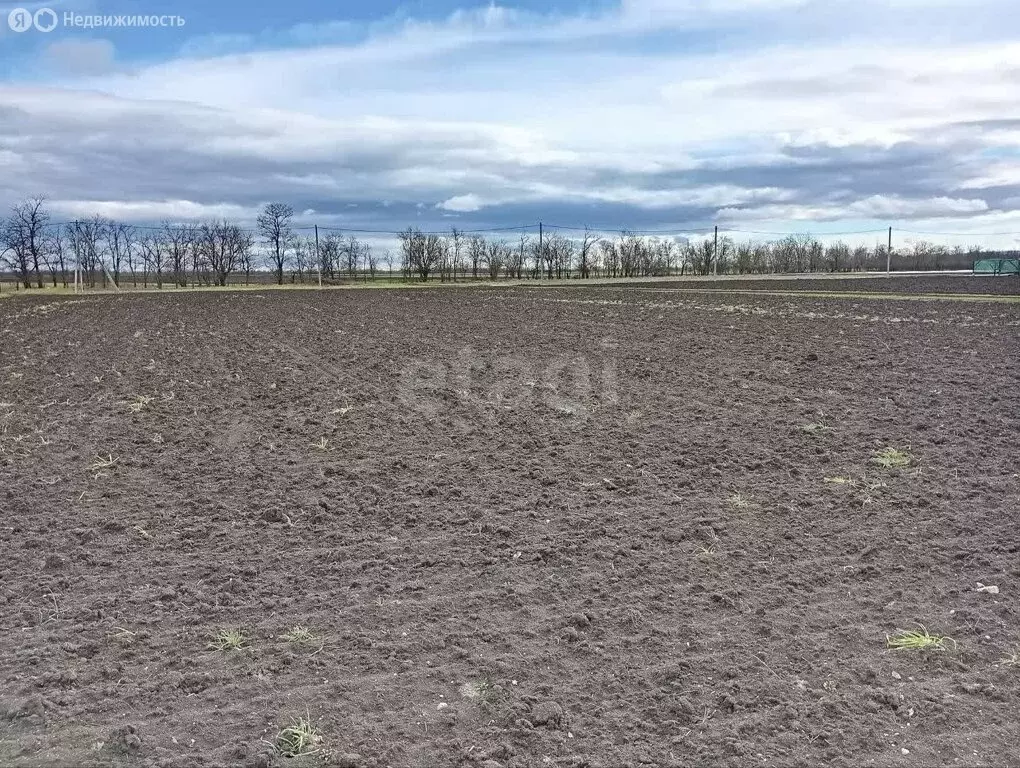 Участок в Пушкинское сельское поселение, село Маковка, Виноградная ... - Фото 1