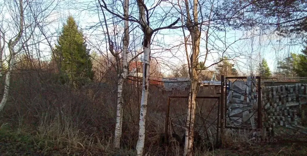 Участок в Ленинградская область, Волховский район, Кисельнинское ... - Фото 1