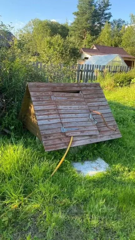 Участок в Новгородская область, Новгородский район, Ермолинское с/пос, ... - Фото 2